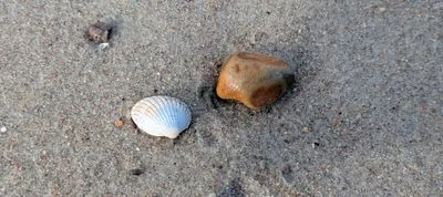 Titelbild: Mentoring vs. Coaching — Was ist der Unterschied?