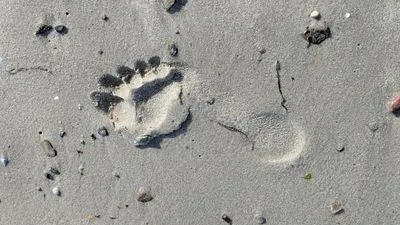 Gehmeditation — Für alle, die nicht stillsitzen können