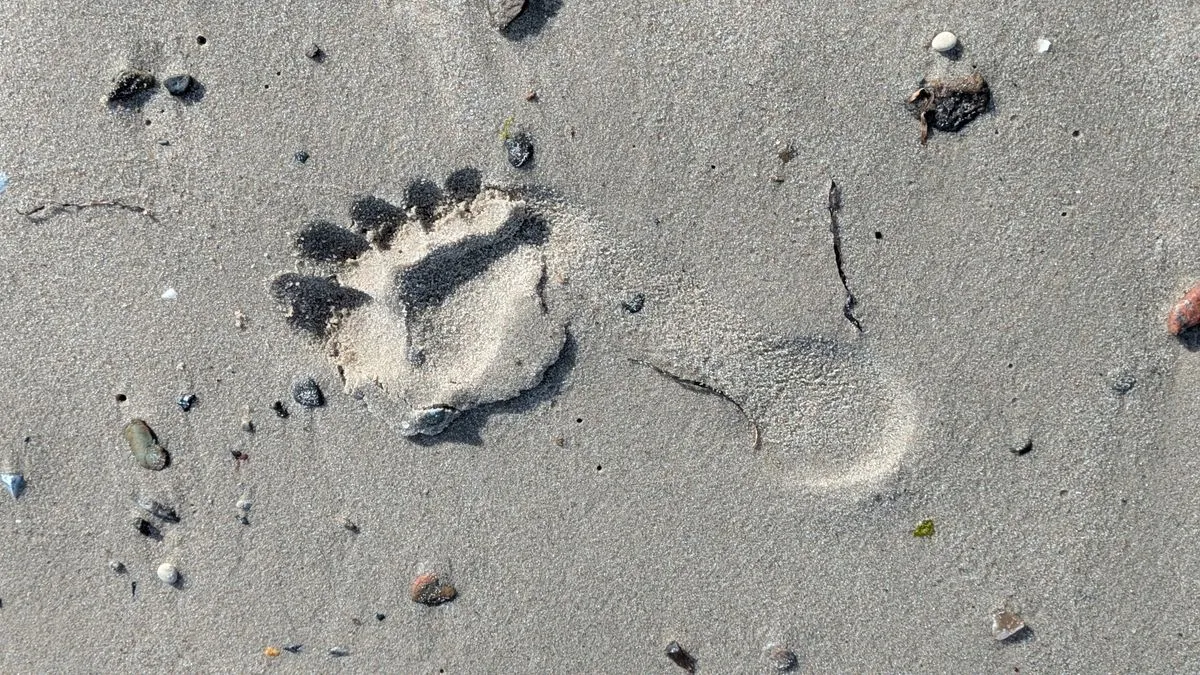 Gehmeditation — Für alle, die nicht stillsitzen können