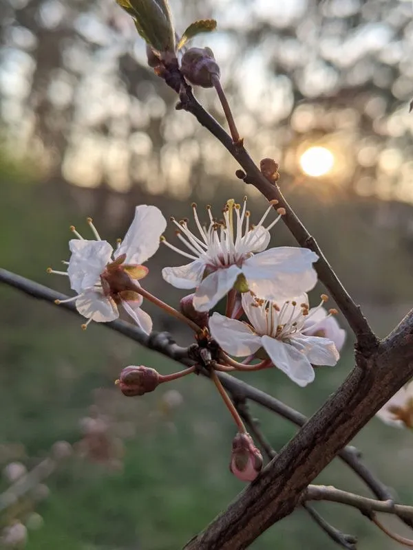 Dankbarkeit als Superpower für dein Gehirn