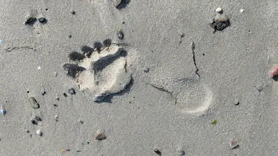 Gehmeditation — Für alle, die nicht stillsitzen können