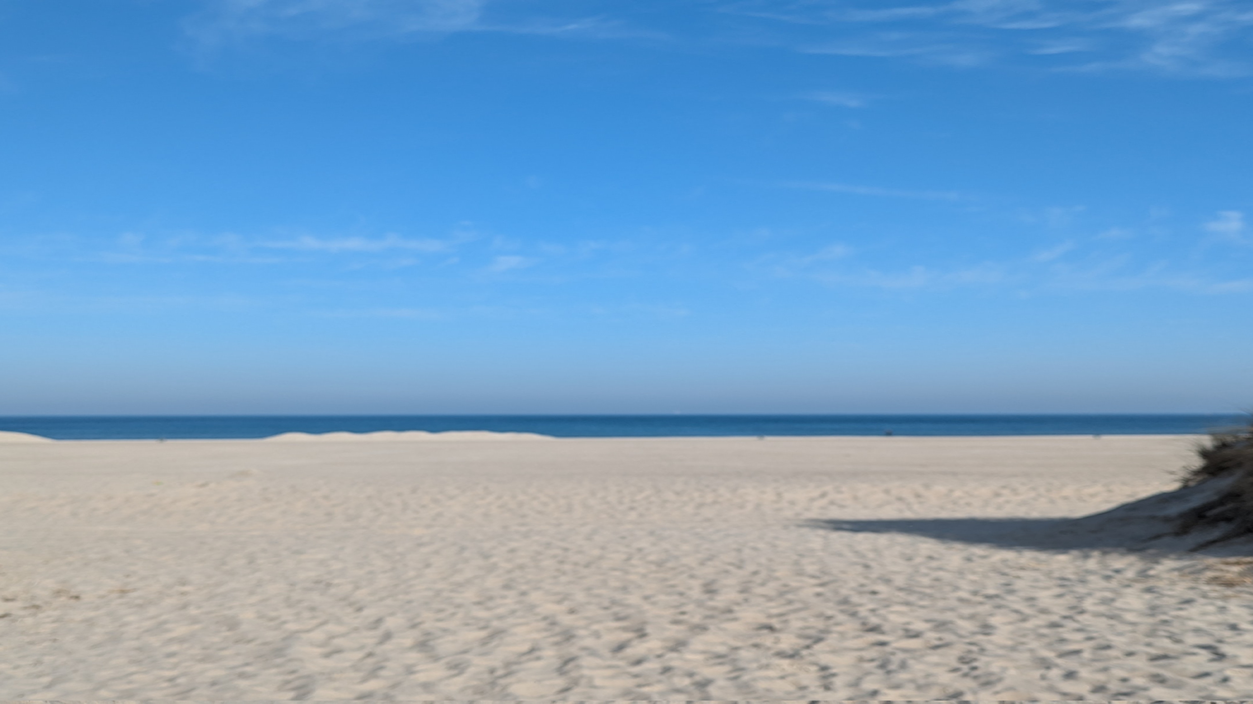 Dünen und Strand an der Ostsee in Warnemünde